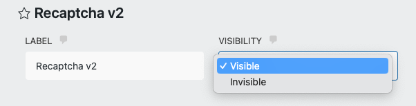 reCAPTCHA v2 field setting with the Visibility setting highlighted. You can Visible or Invisible from this dropdown. 